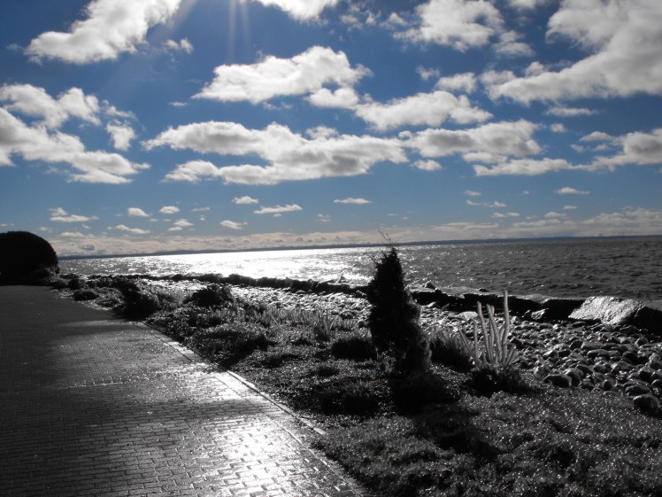 1b11b47a-69bc-49c8-b78f-0ba6bd06ce5e