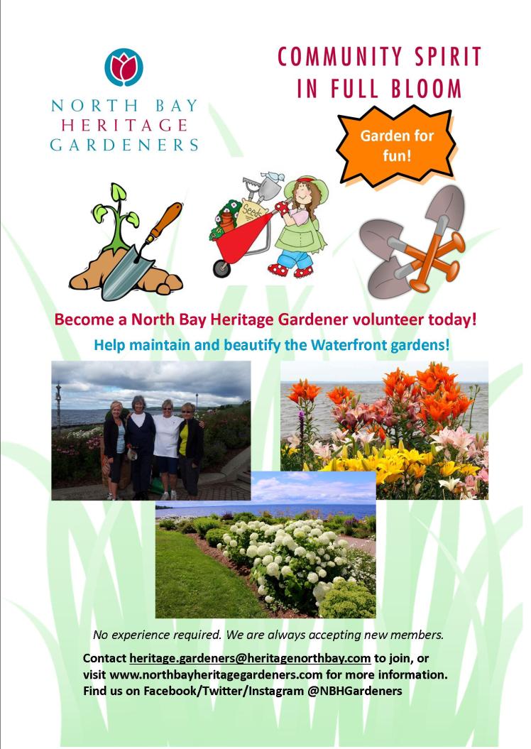 Volunteer Fun Poster - Final JPEG