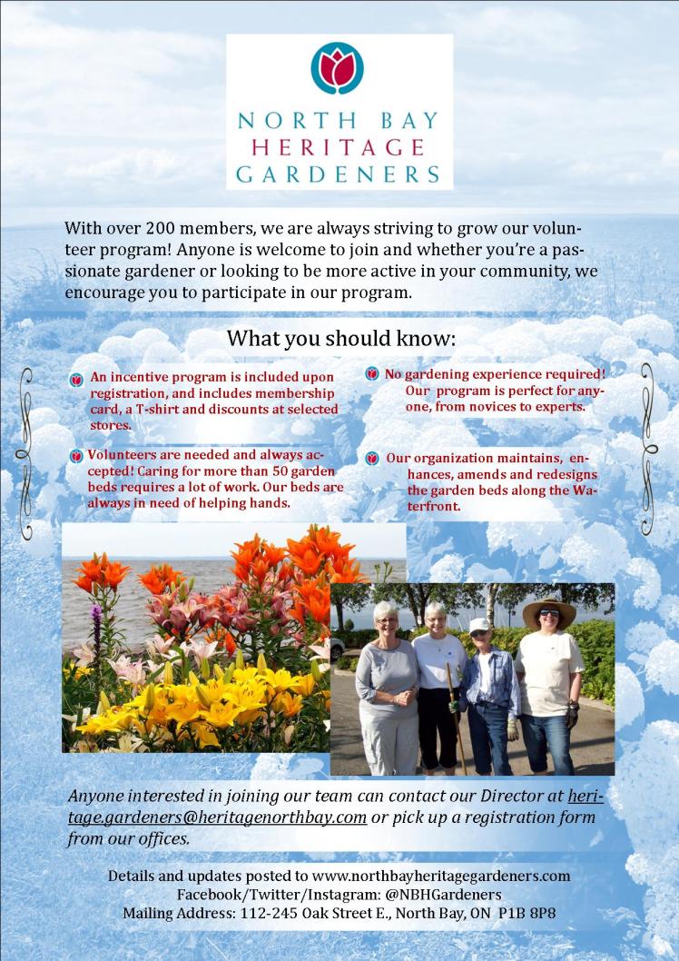 Volunteer Recruitment Poster - JPEG