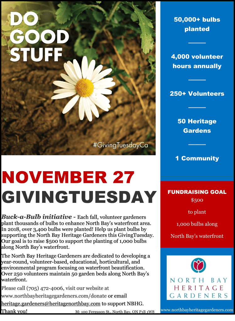 GivingTues poster 2018 1