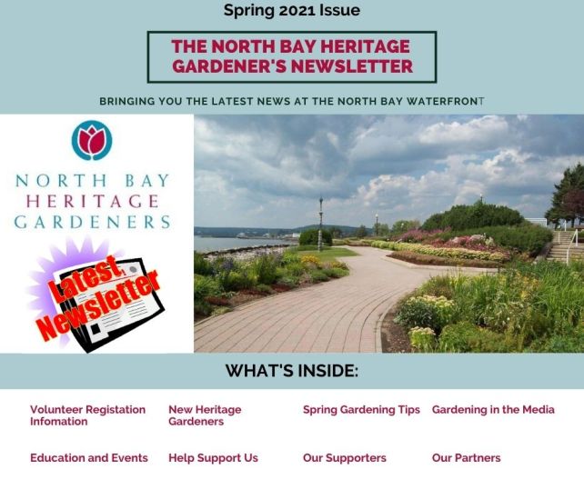 2021 Spring Newsletter Announcement - SM Visual